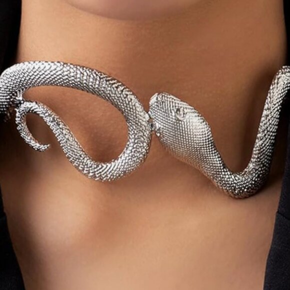 NEW! Zara Silver Snake Choker - Picture 3 of 5
